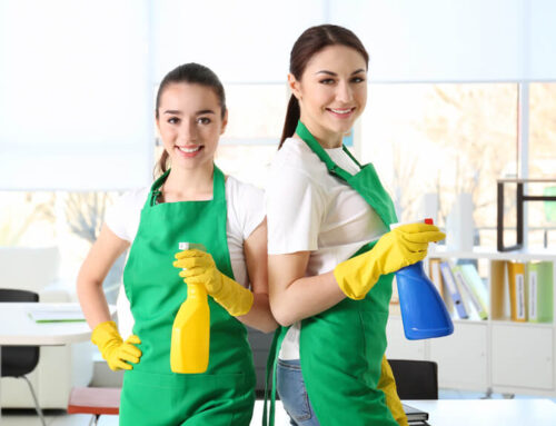 Eco Clean Ellie’s: Your Go-To Choice for Deep Cleaning Services in Lawrence, KS