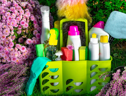 Safe and Effective Cleaning Products: What to Look for in Lawrence, KS